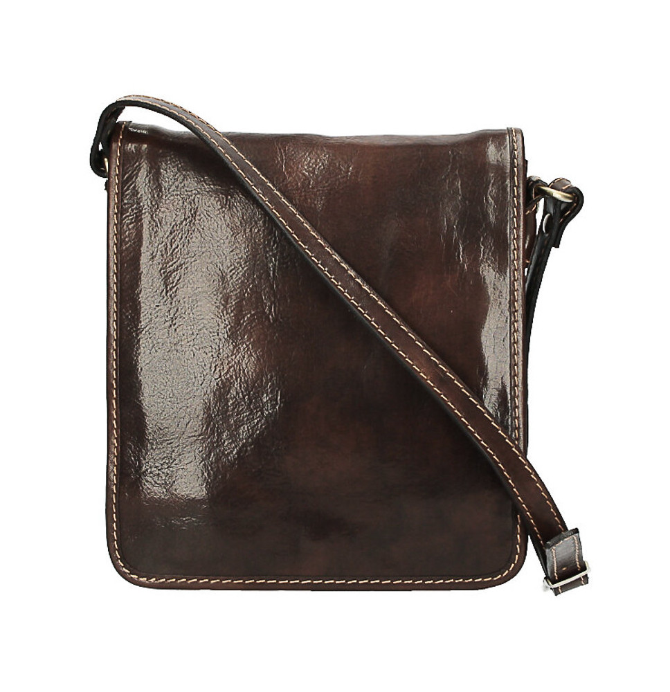 Leather Strap bag 152 dark brown