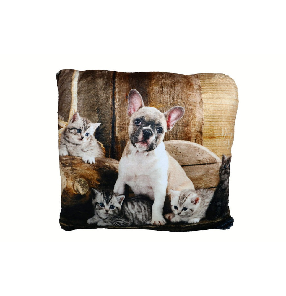 Insulated pillow Bulldog and Cats 40x40 cm