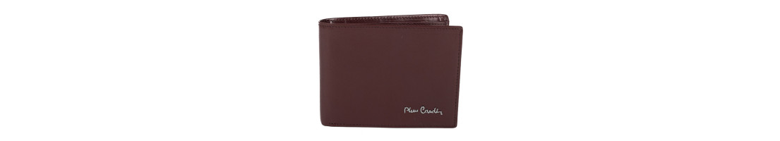 Pánské peněženky